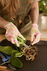 Similar image 21797331