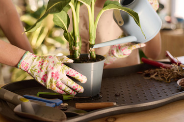 Similar image 21801149