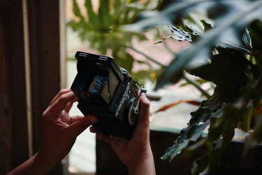 Similar image 21799480