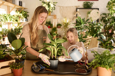 Similar image 21802790