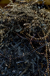 Similar image 21798014