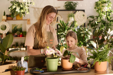 Similar image 21798999