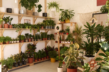 Similar image 21797769