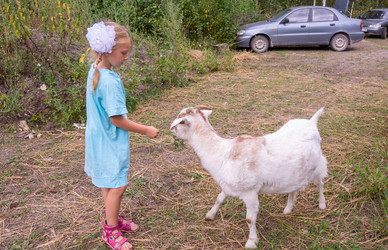 Similar image 21788965