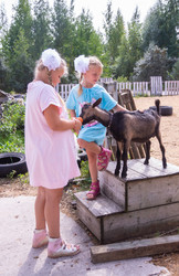 Similar image 21788967