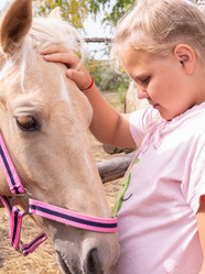 Similar image 21787211