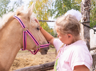 Similar image 21787544