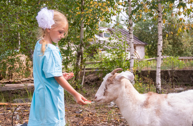 Similar image 21787549