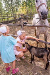 Similar image 21788974