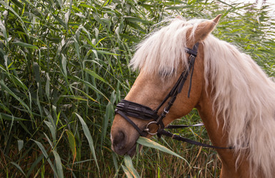 Similar image 21787554