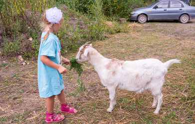 Similar image 21788975