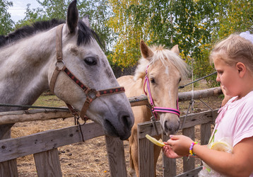 Similar image 21787557