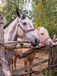 Similar image 21787559