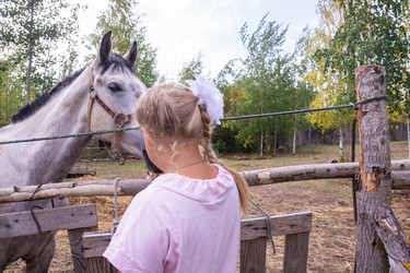 Similar image 21787567