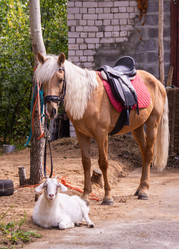 Similar image 21787568