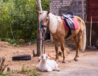 Similar image 21787569