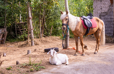 Similar image 21787570