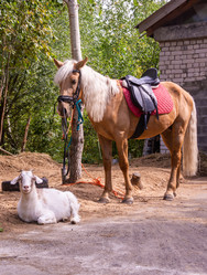 Similar image 21787571