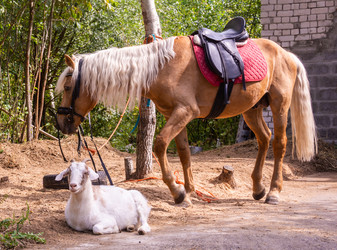 Similar image 21787573