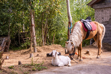 Similar image 21787574