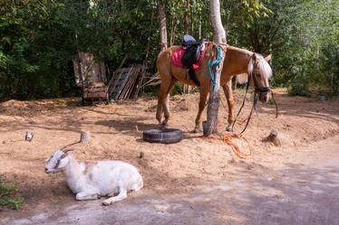 Similar image 21787575