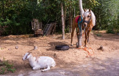 Similar image 21787576