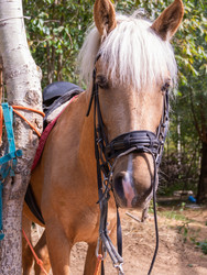 Similar image 21787577