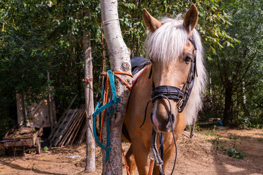 Similar image 21787578