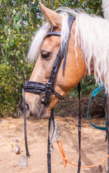 Similar image 21787579