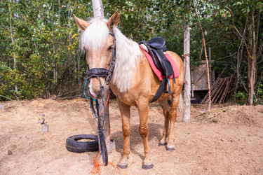 Similar image 21787580