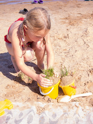 Similar image 21787582