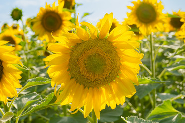 Similar image 21805665