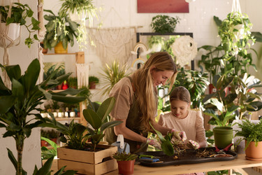 Similar image 21802678