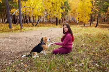 Similar image 21789692