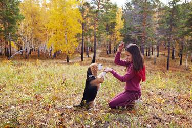 Similar image 21789695