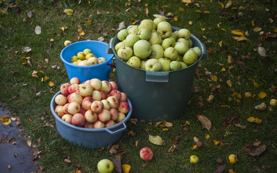 Similar image 21813108