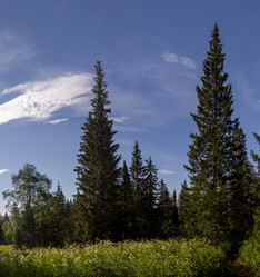 Similar image 21813807