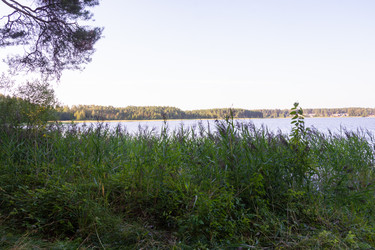 Similar image 21803256