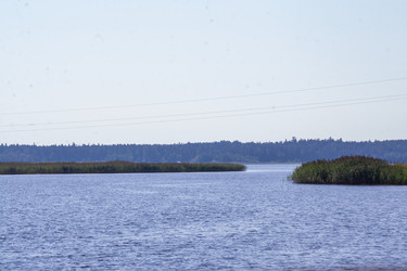 Similar image 21787596