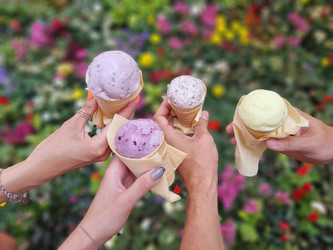 Similar image 21803259