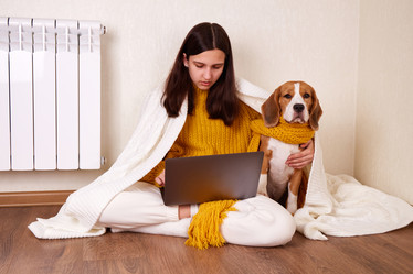 Similar image 21789703