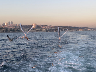 Similar image 21789901