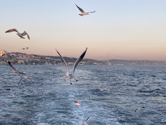 Similar image 21789902