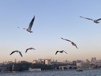 Similar image 21789904