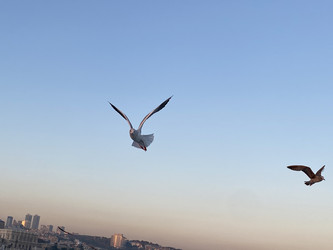 Similar image 21789905