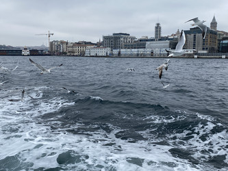 Similar image 21789906