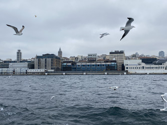 Similar image 21789907