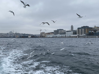 Similar image 21789908