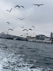 Similar image 21789909