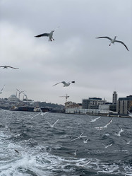 Similar image 21789910